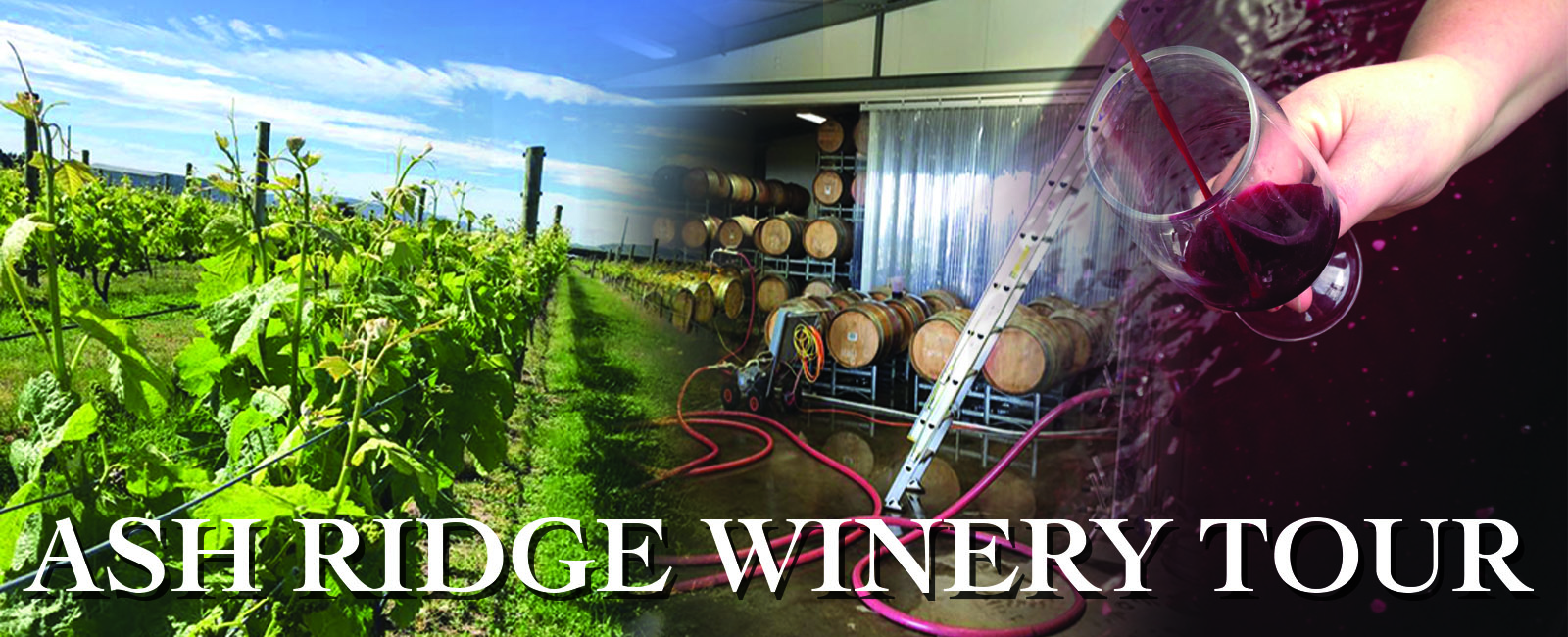 Ash Ridge Winery Tours